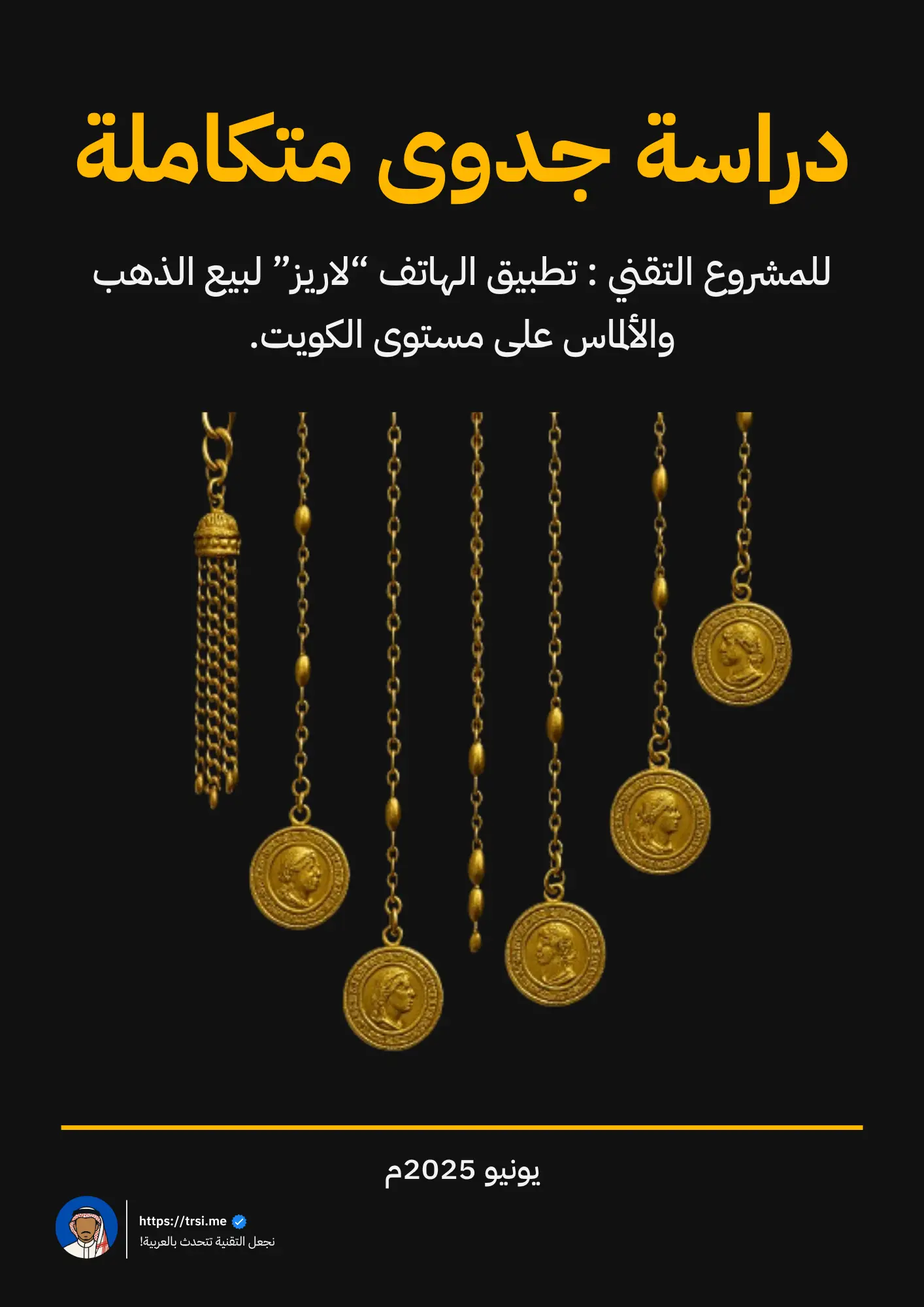 دراسة جدوى لاريز